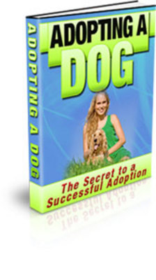 Product picture adopt a dog